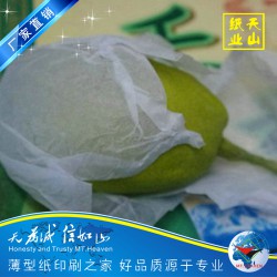 廠家供應(yīng)白色薄型雪梨紙 薄型拷貝紙