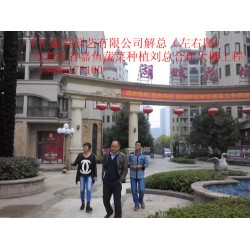 濰坊哪里有提供蔬菜大棚建造，蔬菜大棚