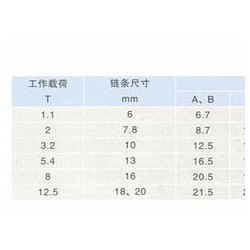 鏈條調(diào)節(jié)器供應(yīng) 買鏈條調(diào)節(jié)器_來東方力神吊裝設(shè)備