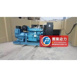 專業(yè)的濰柴動力博杜安發(fā)電機組廠家推*——好的濰柴動力