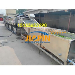 大頭菜清洗機(jī) 橄欖菜清洗線 內(nèi)蒙洗菜機(jī) 四川洗菜機(jī)
