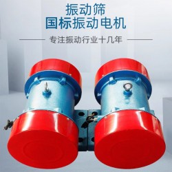 立臥式交流調(diào)速電動機(jī) 節(jié)能電機(jī)