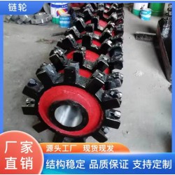 焊接穩(wěn)固 按需定制 精鑄鋼提升機(jī)上下鏈輪