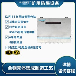 KJF111礦用本安型分站 適用于采區(qū)工作面和皮帶運(yùn)輸?shù)仍O(shè)備